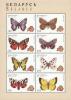 Colnect-191-343-Butterflies.jpg