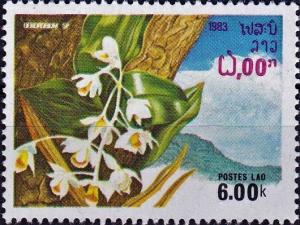 Colnect-4031-640-Dendrobium.jpg