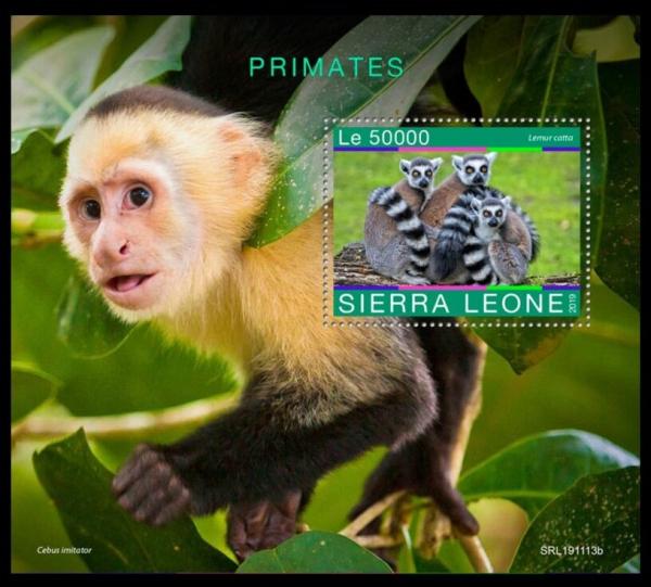 Colnect-6335-426-Primates.jpg
