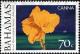 Colnect-5974-043-Canna-lily.jpg