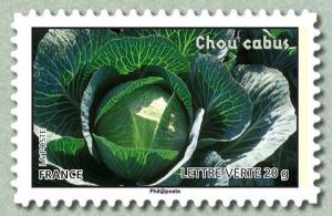 Colnect-1205-471-Cabbage.jpg