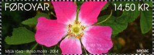 Colnect-2298-182-SEPAC-2014-Flowers-Soft-Downy-Rose.jpg