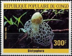 Colnect-2906-484-Dictyophora.jpg