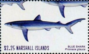 Colnect-6220-650-Blue-shark.jpg
