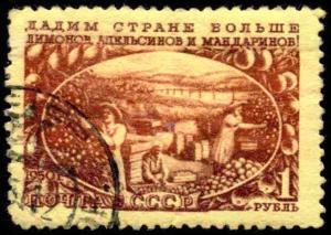 USSR_stamp_1951_CPA_1620.jpg