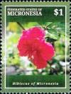 Colnect-5812-520-Hibiscus.jpg