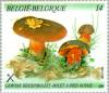 Colnect-186-656-Mushrooms.jpg