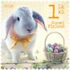 Colnect-3148-465-Easter-bunny.jpg