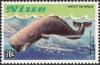 Colnect-3572-295-Sperm-Whale.jpg