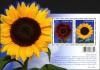 Colnect-770-895-Sunflowers.jpg