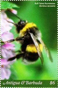 Colnect-6435-160-Bee.jpg