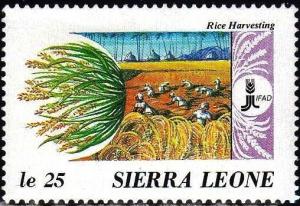 Colnect-4292-695-Rice-harvest.jpg
