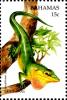 Colnect-4131-935-Green-anole.jpg