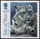 Colnect-5282-415-Snow-Leopard.jpg