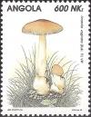 Colnect-1110-061-Mushrooms.jpg