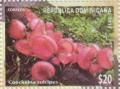 Colnect-6055-961-Mushrooms.jpg