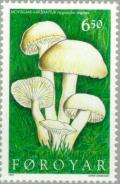 Colnect-157-962-Mushrooms.jpg