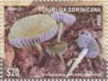 Colnect-6055-962-Mushrooms.jpg