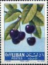 Colnect-1366-536-Prunus-avium.jpg