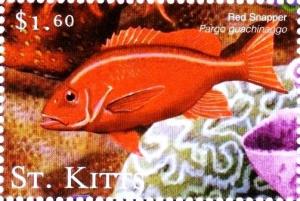 Colnect-3483-396-Red-snapper.jpg