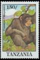 Colnect-4729-571-Chimpanzee.jpg