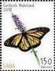 Colnect-5965-074-Butterfly.jpg