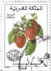 Colnect-1854-917-Strawberries.jpg