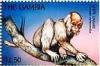 Colnect-4711-617-White-uakari.jpg