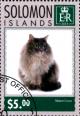 Colnect-4025-680-Maine-Coon.jpg