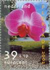 Colnect-182-835-Orchid.jpg