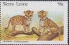 Colnect-3992-848-Leopards.jpg