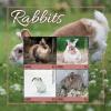 Colnect-6447-842-Rabbits.jpg