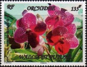 Colnect-2997-854-Orchids.jpg
