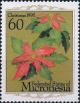 Colnect-5576-688-Poinsettia.jpg