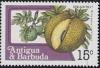 Colnect-1940-889-Breadfruit.jpg