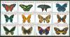 Colnect-2575-968-Butterflies.jpg