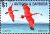 Colnect-3904-928-Scarlet-ibis.jpg