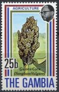 Colnect-1653-628-Guinea-Corn.jpg