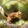 Colnect-5164-968-Red-squirrel.jpg