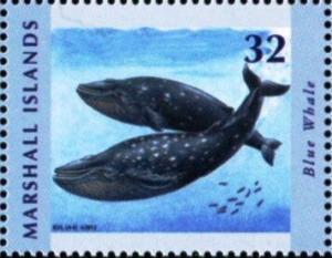 Colnect-6186-228-Blue-whales.jpg