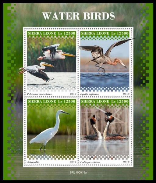 Colnect-6213-318-Water-Birds.jpg