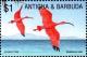 Colnect-3904-928-Scarlet-ibis.jpg