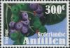 Colnect-1016-590-Sea-grapes.jpg