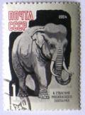 Colnect-536-391-Elephant.jpg