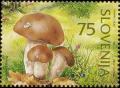 Colnect-688-891-Mushrooms.jpg