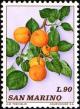 Colnect-1685-962-Apricots.jpg
