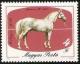 Colnect-587-392-Ramses-3-1960-Equus-ferus-caballus.jpg