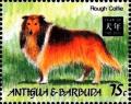 Colnect-4112-739-Rough-collie.jpg