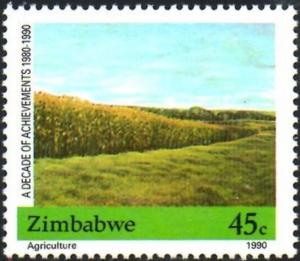 Colnect-3265-949-Maize-Field.jpg