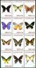 Colnect-2575-969-Butterflies.jpg